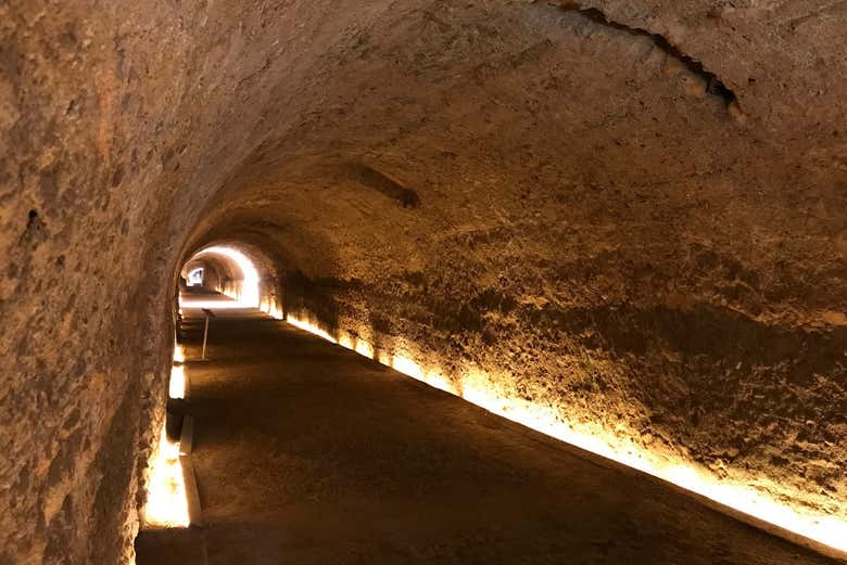 Visite du forum romain de Tarraco