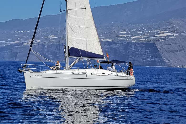 Disfrutando el paseo en velero por La Palma