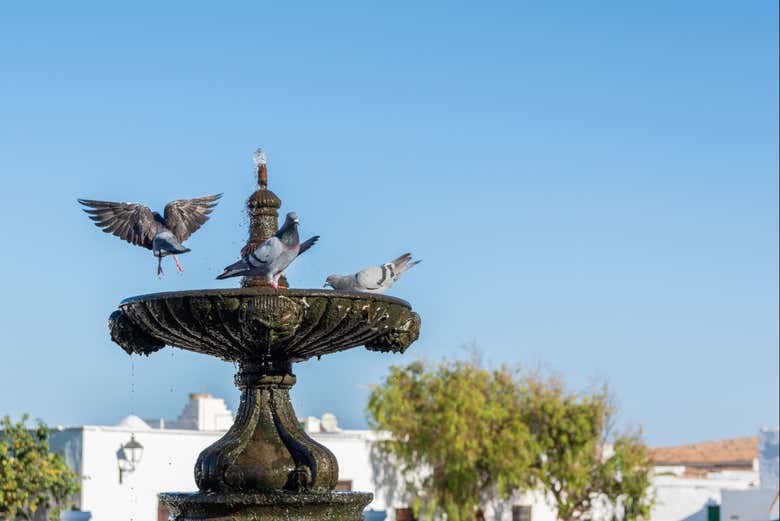 Visitando Teguise