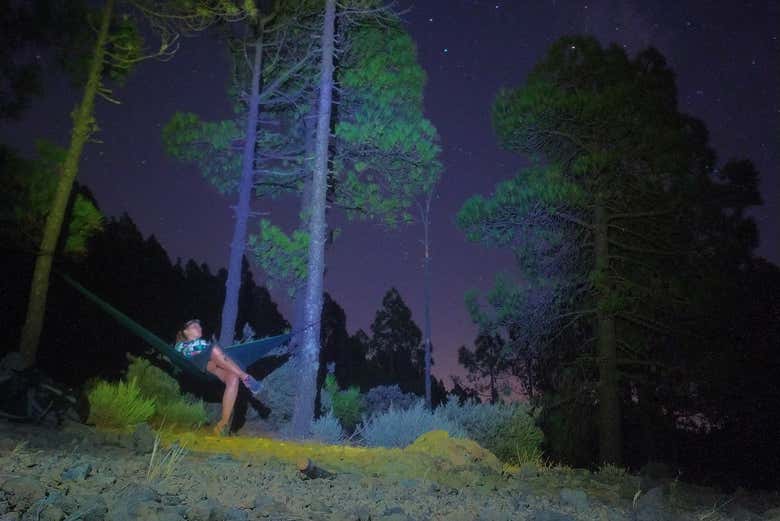 Contemplando o céu noturno