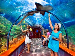 Acuario de Loro Parque