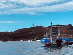 Paseo en barco por Teno