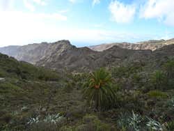 Gole di La Gomera