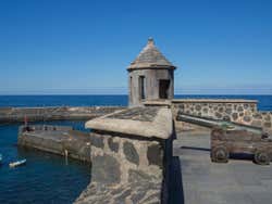 Cannone di Puerto de la Cruz