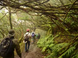 Durante il trekking al Parco Rurale di Anaga