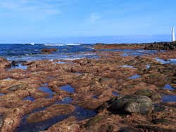 Paisagem costeira Punta del Hidalgo