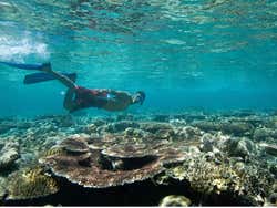Snorkeling a Tenerife