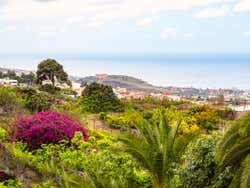 Vale de La Orotava