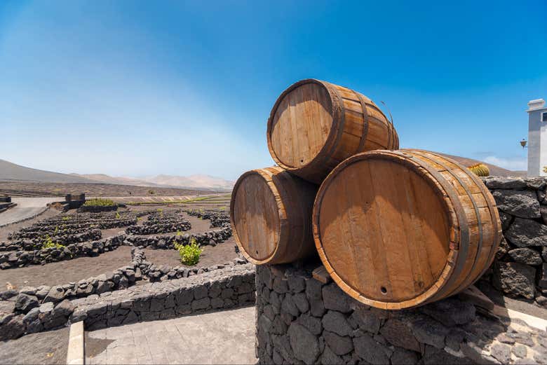 Los barriles que albergan los mejores vinos de Lanzarote