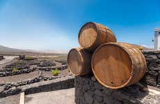 Tour por los viñedos del volcán Juan Bello