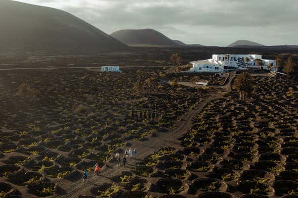 Visita à adega Vega de Yuco Testeina