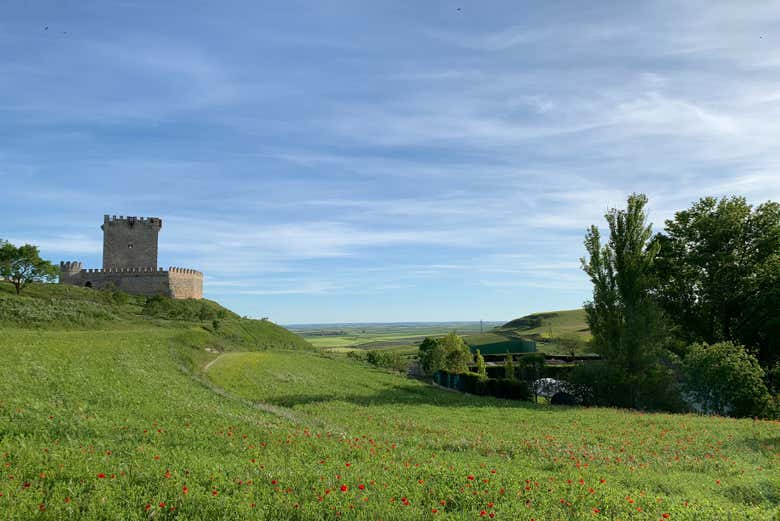 Arrivée au château de Tiedra