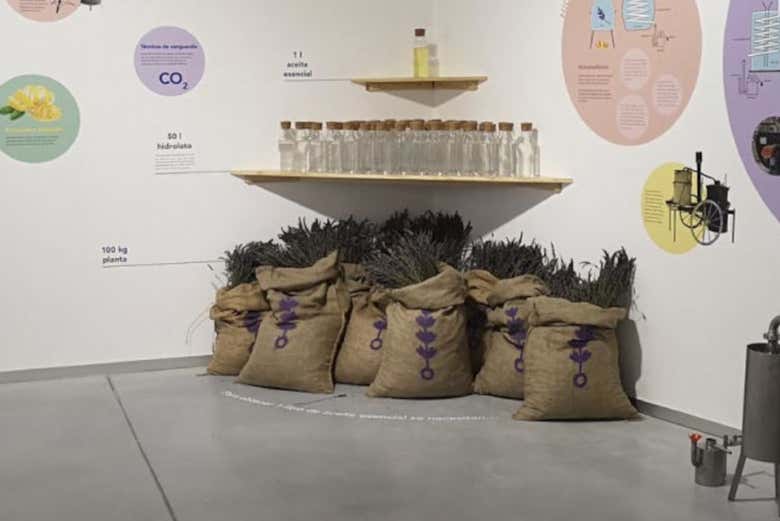 Sacos de lavanda no centro de interpretação
