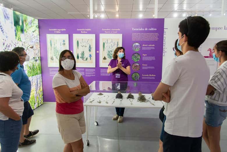 Durante a visita a Tiedra de Lavanda