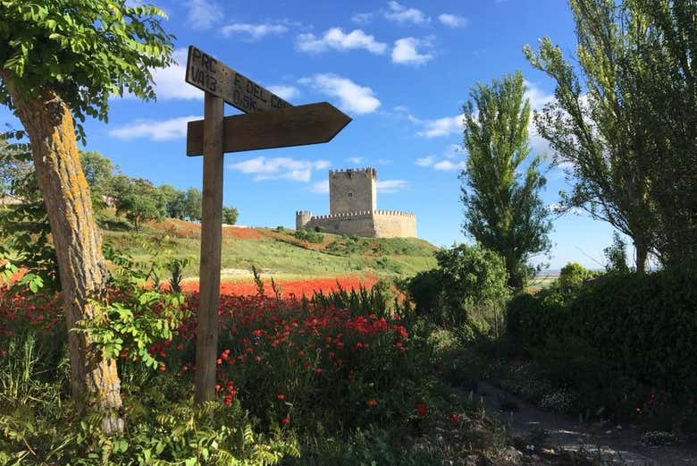 Vistas del castillo de Tiedra