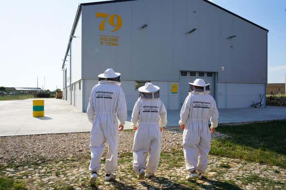 Visita di un'azienda apistica
