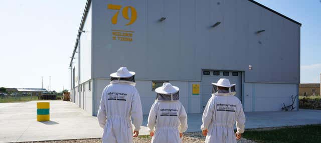 Visita a una finca de apicultura