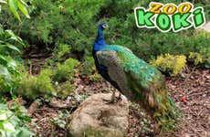 Koki Zoo Ticket