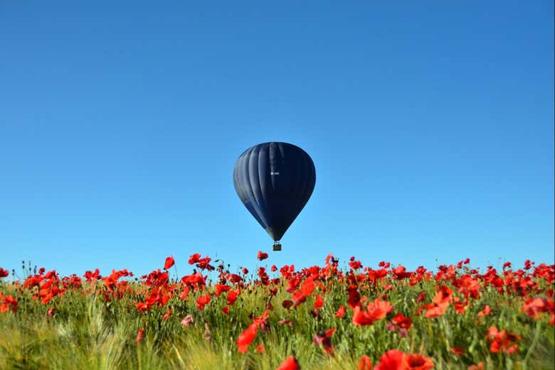 Globo sobrevolando un campo de amapolas