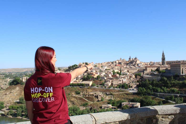 Vista desde un mirador