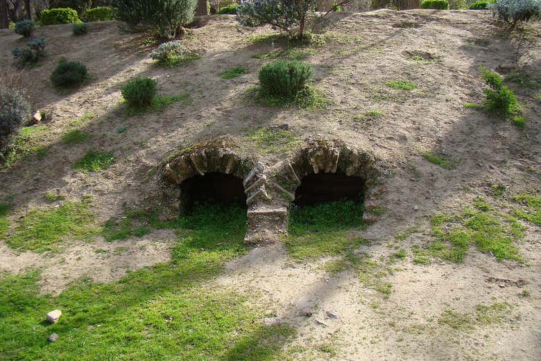 Detalle del yacimiento