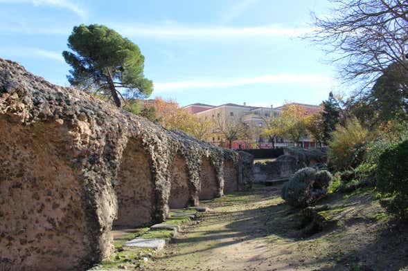 Visita guiada por el circo romano de Toledo
