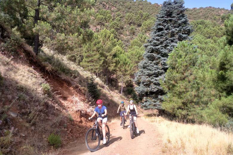 Pedaleando por la Sierra de las Nieves