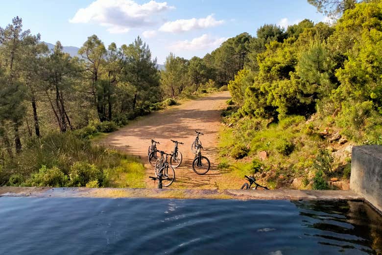 Bicicletas eléctricas
