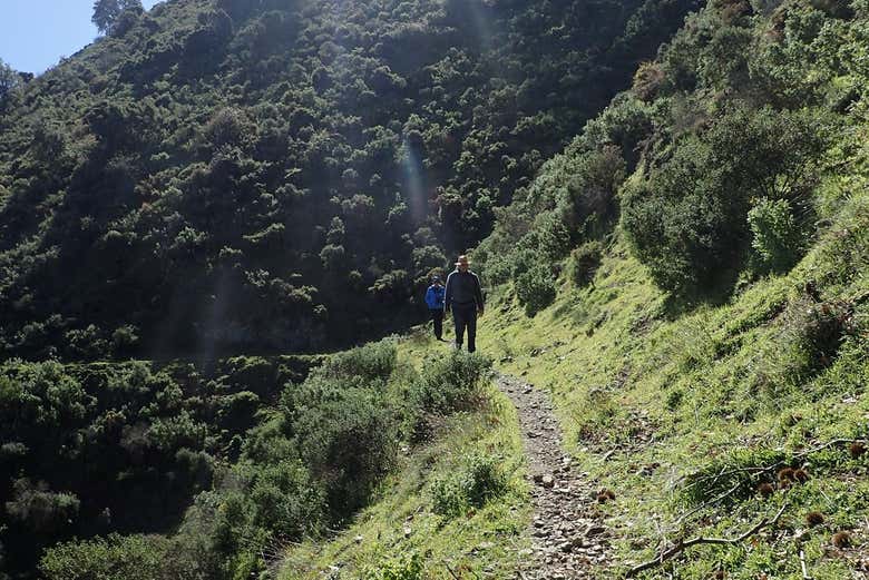 Caminando por Sierra de las Nieves