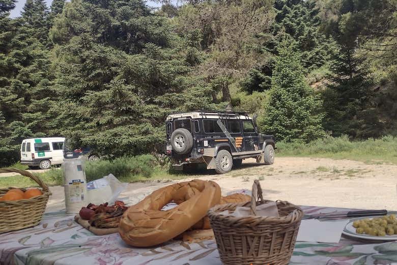 Tour de 4x4 e degustação de produtos típicos