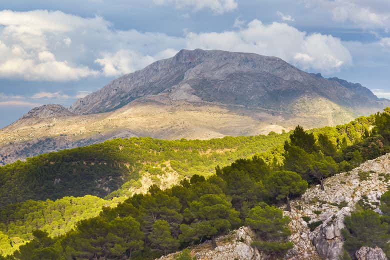 Paisagens do Parque Nacional Sierra de las Nieves