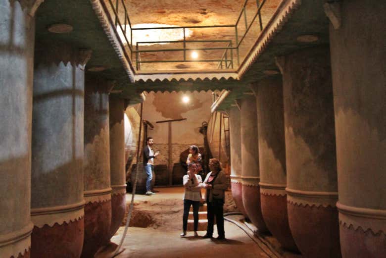 Conociendo las cuevas-bodegas