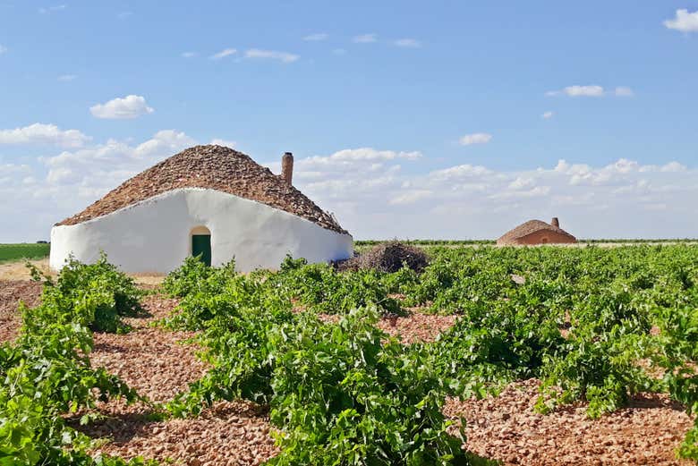 Paysage de Tomelloso