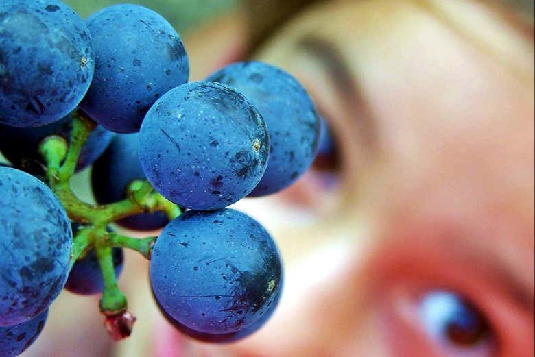 Uvas de Tomelloso