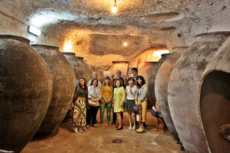 Tour do vinho por Tomelloso
