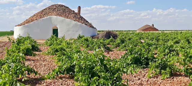 Tour del vino por Tomelloso