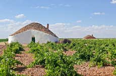 Tour del vino por Tomelloso