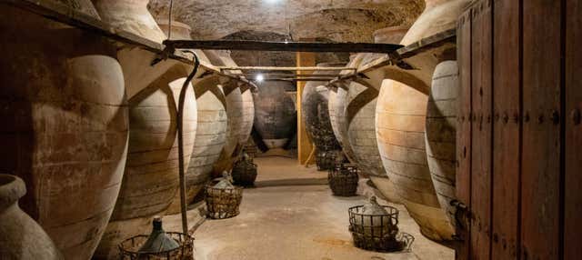 Visita a las cuevas-bodega de Tomelloso