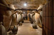 Visita a las cuevas-bodega de Tomelloso