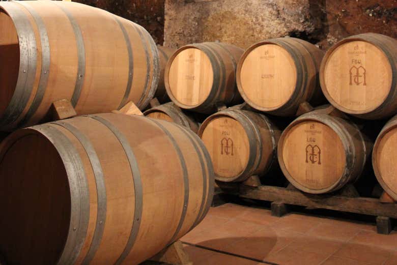 Botti di vino