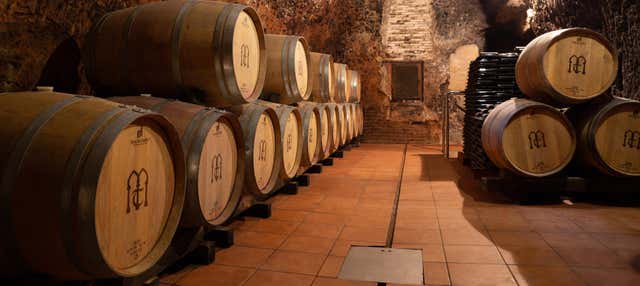 Visita a la bodega Muelas