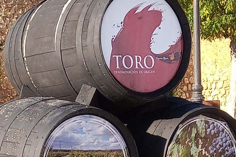 Domaine viticole historique de Toro