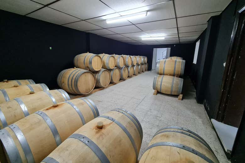 Sala delle botti della cantina