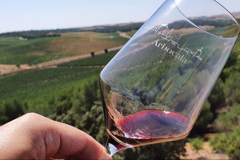 Verre de vin rouge au Palacio de Villachica