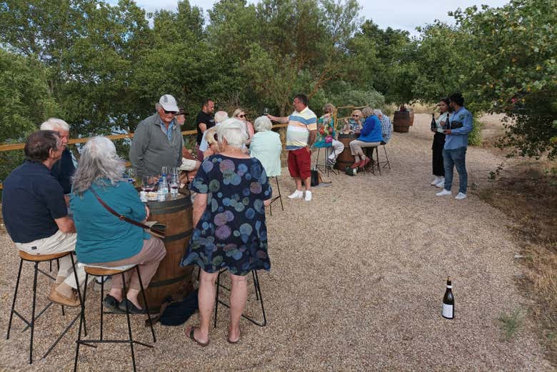 Wine tasting on the balcony with view