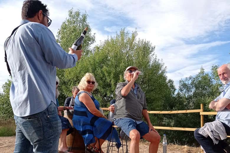 Explanation of the wines