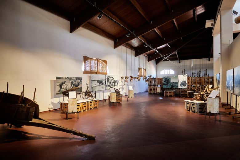 Musée de l'histoire du vin