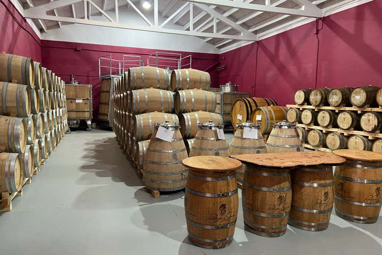 Visitaremos la sala de barricas