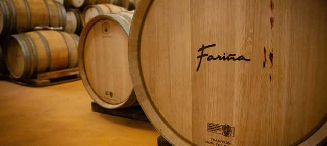 Visita a las bodegas Fariña