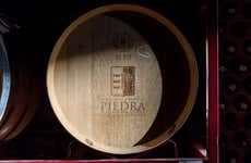 Piedra Wineries Tour + Tasting